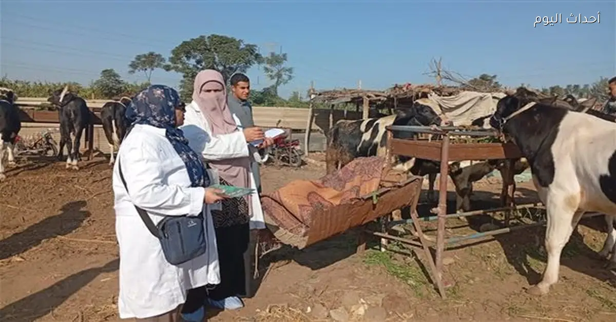 الزراعة تبدأ أنشطة لرصد الأمراض في جميع المحافظات