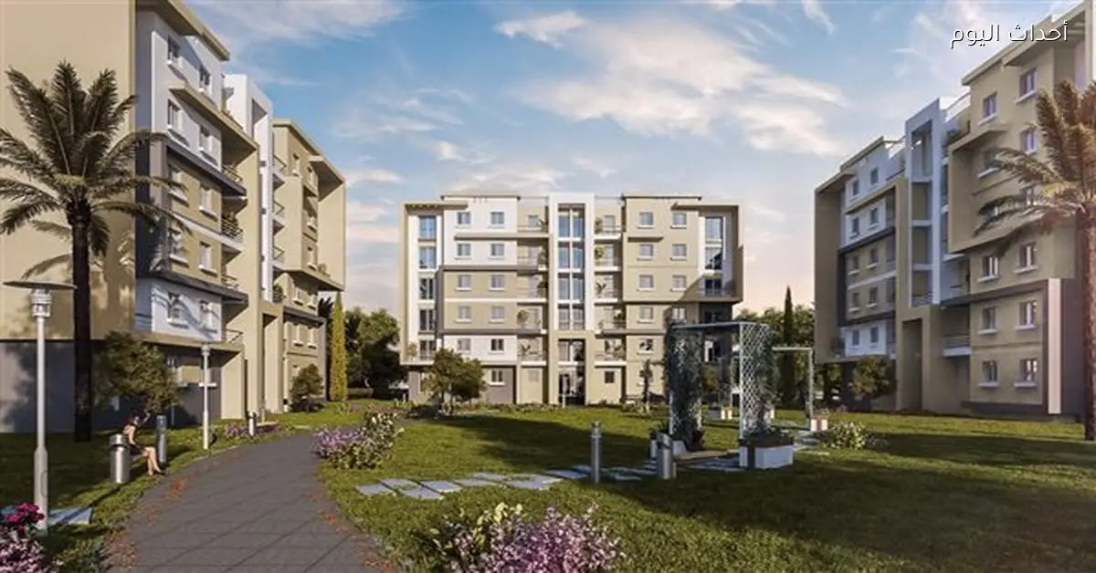 أحمد صبور: القطاع العقاري في مصر محرك رئيسي للاقتصاد