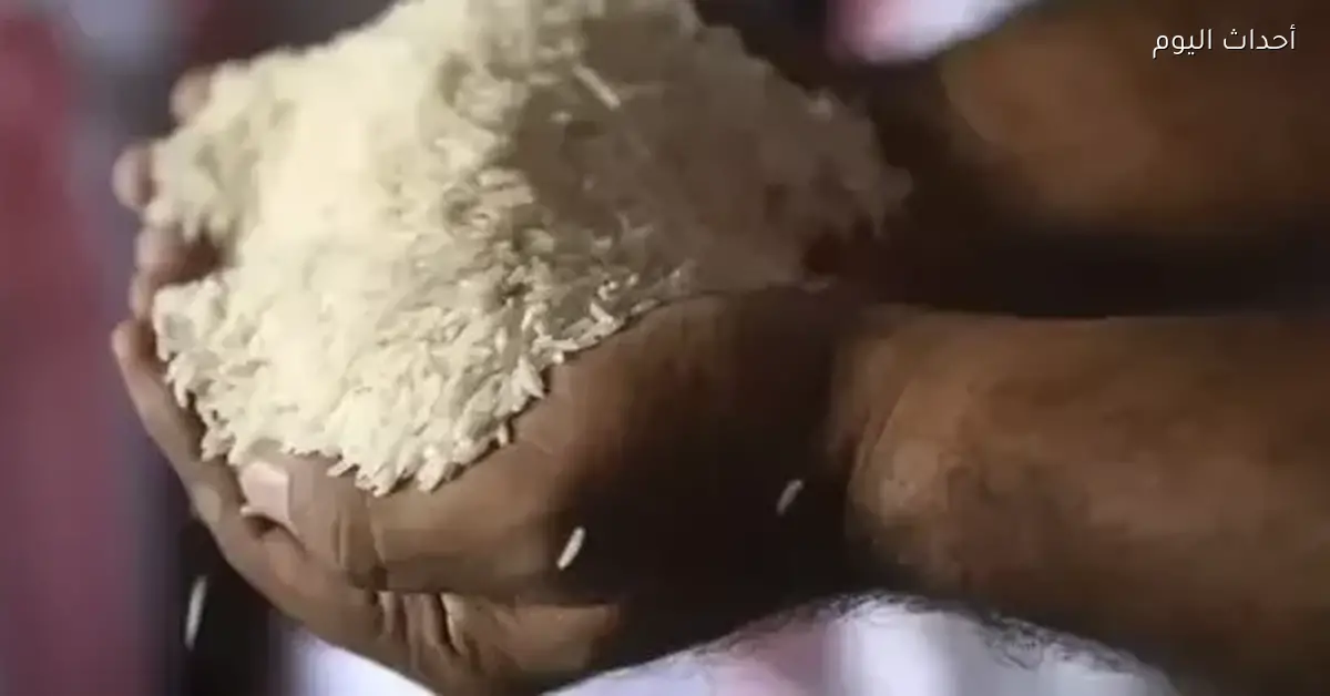 أسعار الأرز الشعير اليوم الأحد 14 ديسمبر 2025