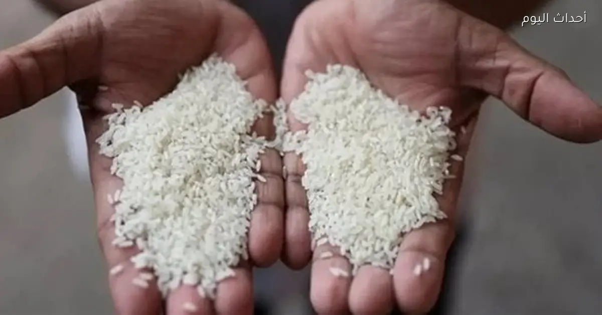 أسعار الأرز الشعير في الأسواق والمضارب اليوم الأربعاء 24 ديسمبر 2025