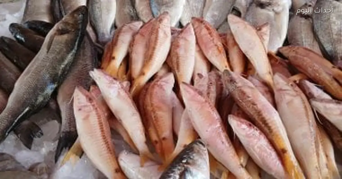 أسعار الأسماك في أسواق دمياط تسجل ارتفاعًا اليوم الأحد
