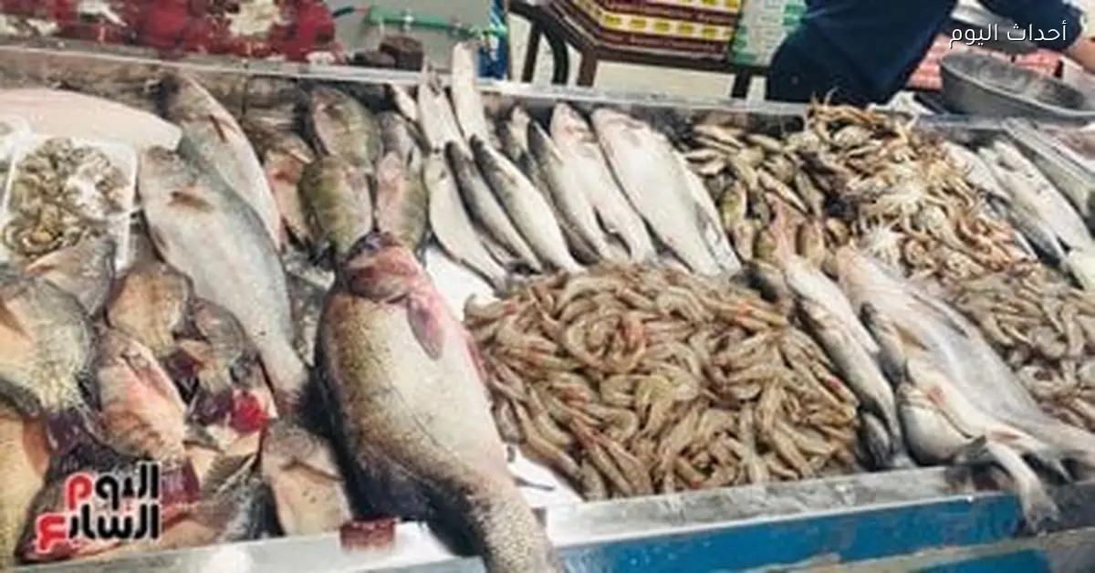 أسعار الأسماك في أسواق مطروح اليوم البوري بـ160 جنيها