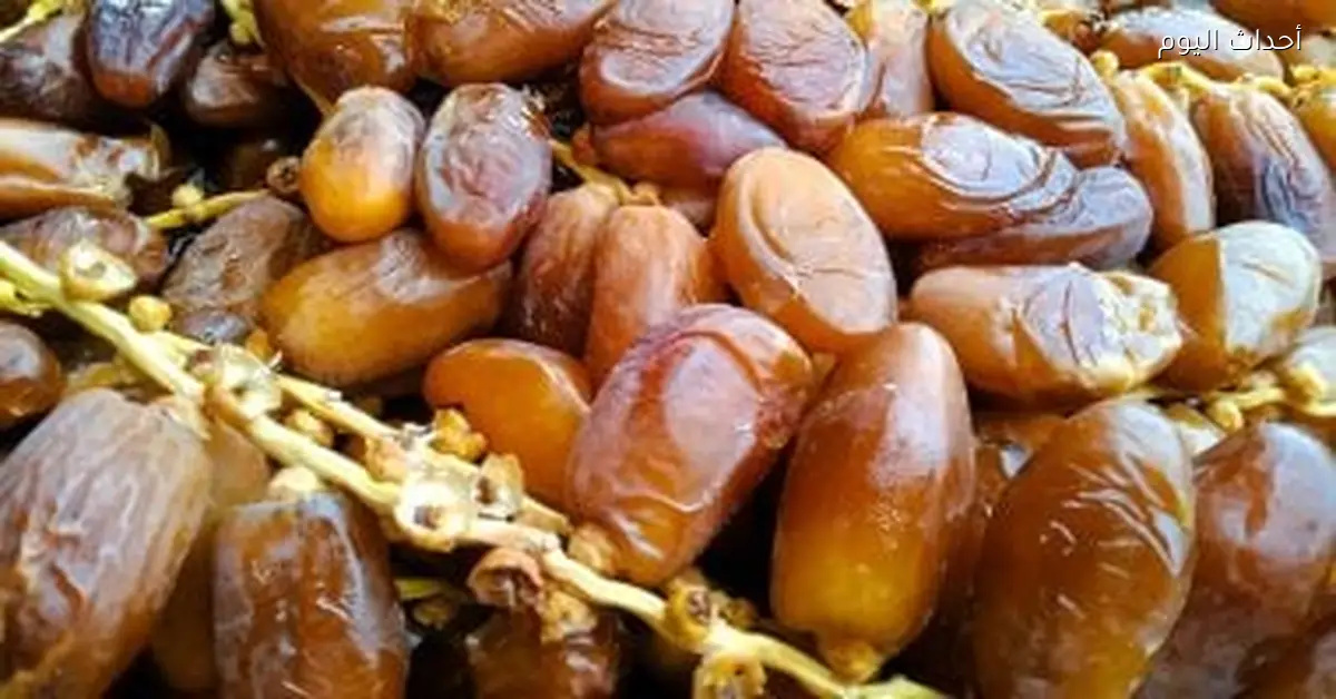 أسعار البلح السيوى في أسواق مطروح اليوم 28 ديسمبر 2025