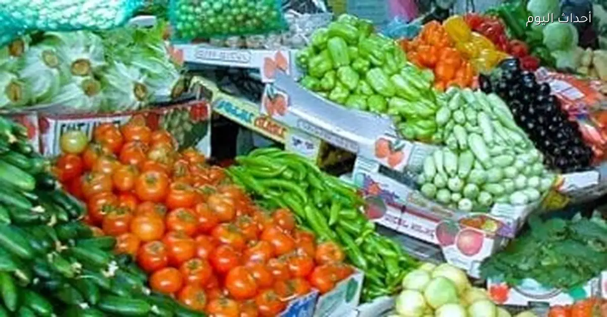 أسعار الخضراوات والفاكهة في أسواق أسوان اليوم تشمل الطماطم بـ10 جنيهات
