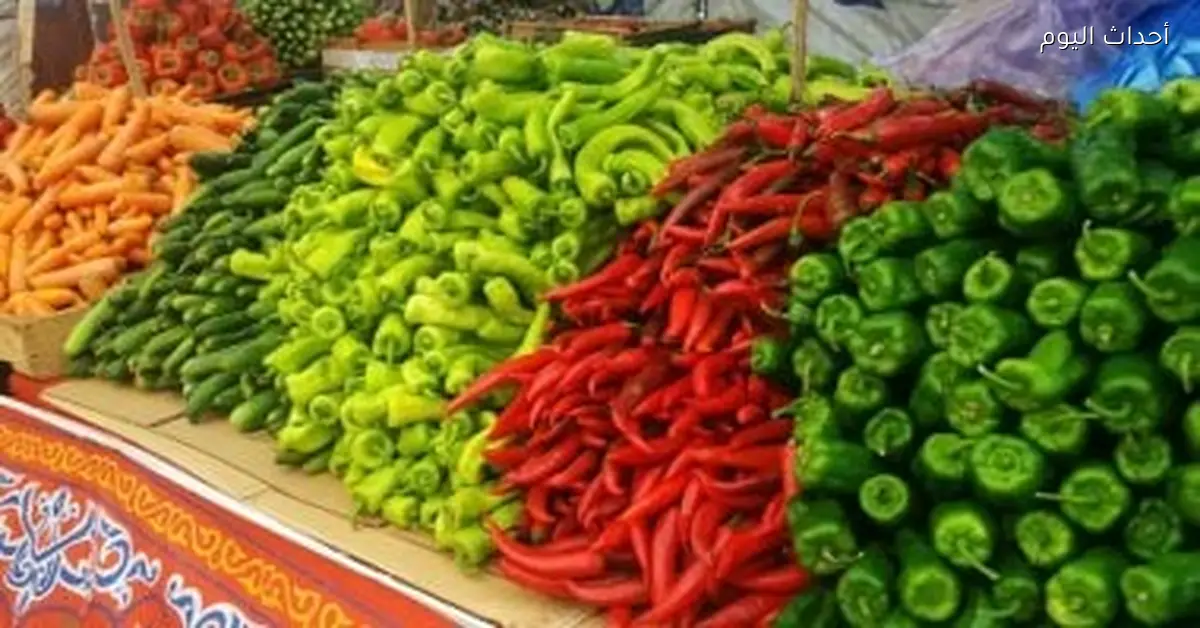 أسعار الخضروات والفاكهة في أسواق أسوان الثلاثاء 10 أكتوبر