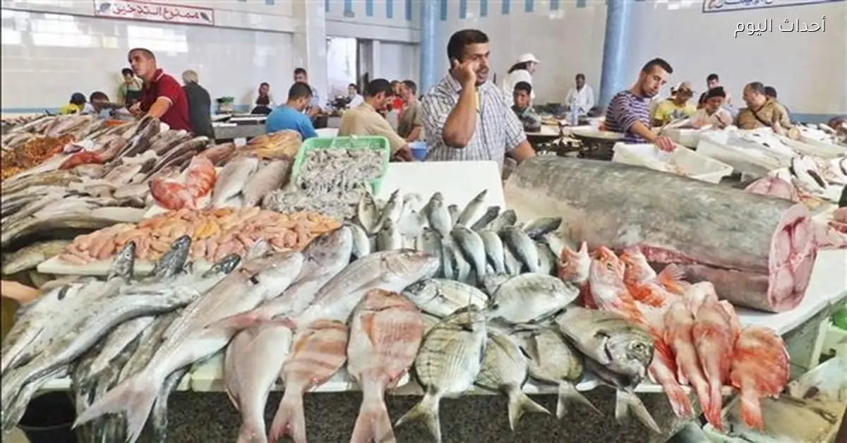 أسعار السمك اليوم: البلطي يبدأ من 30 جنيه والجمبري يصل إلى 975 جنيه