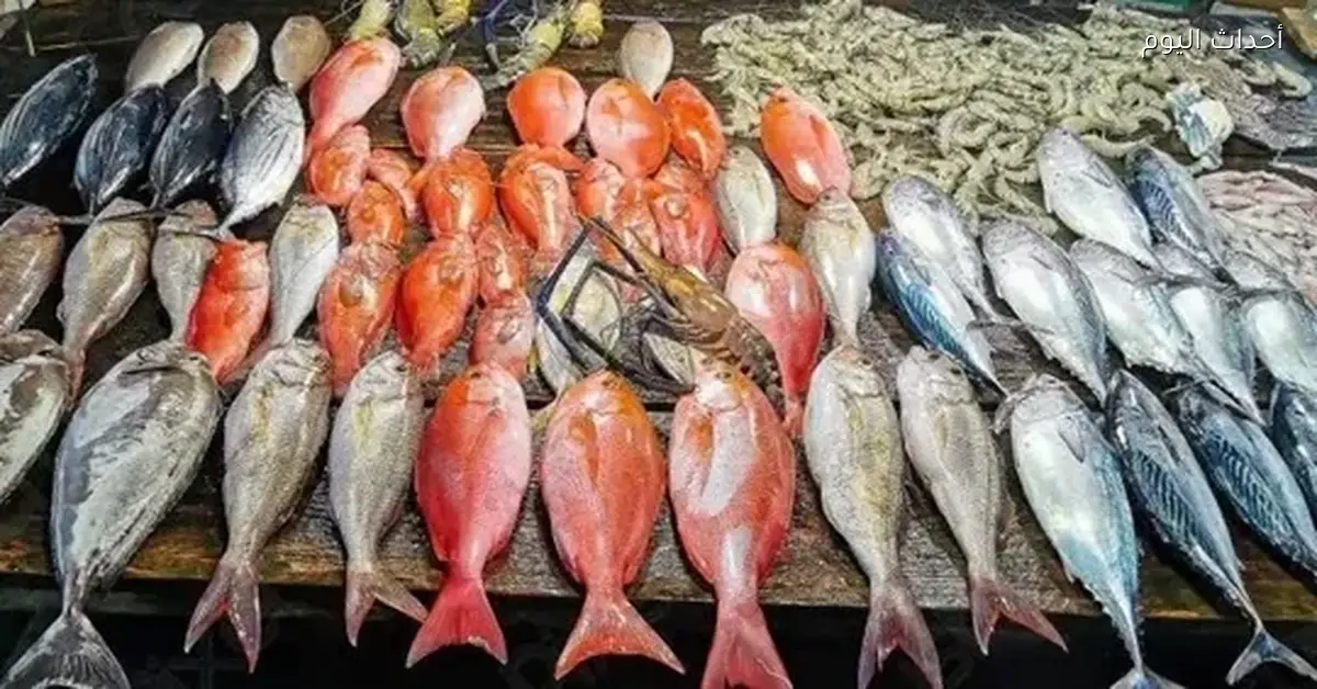 أسعار السمك اليوم في سوق العبور والأسواق المحلية الإثنين 15 ديسمبر 2025