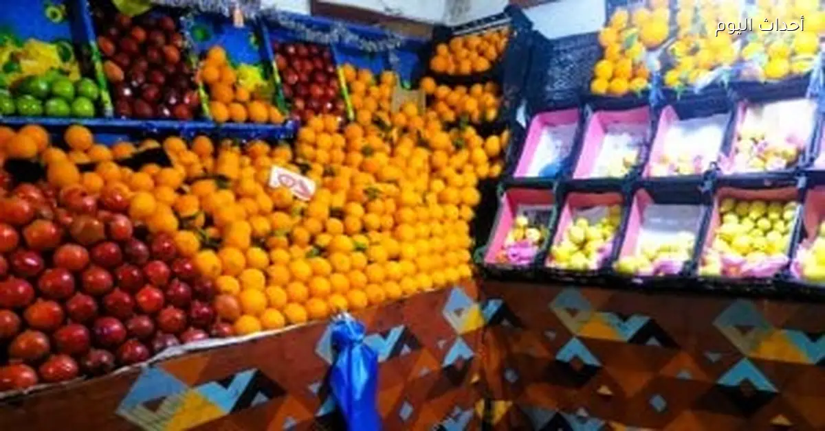 أسعار الفراولة والفواكه في أسواق القليوبية اليوم 14 ديسمبر 2025