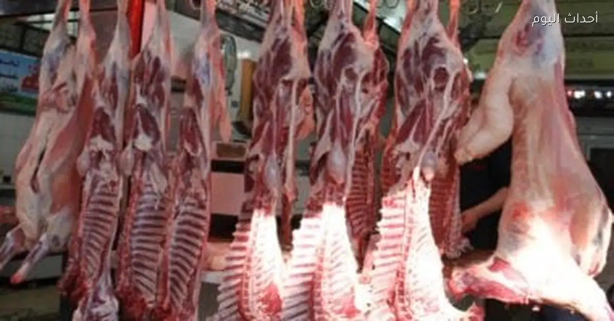 أسعار اللحوم في كفر الشيخ اليوم الأحد 21 ديسمبر 2025