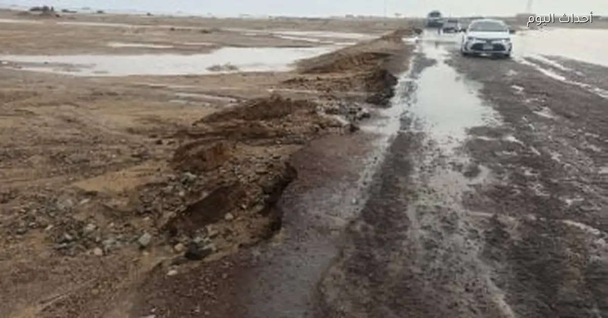 أمطار وسيول نصائح للنجاة من طوارئ الشتاء