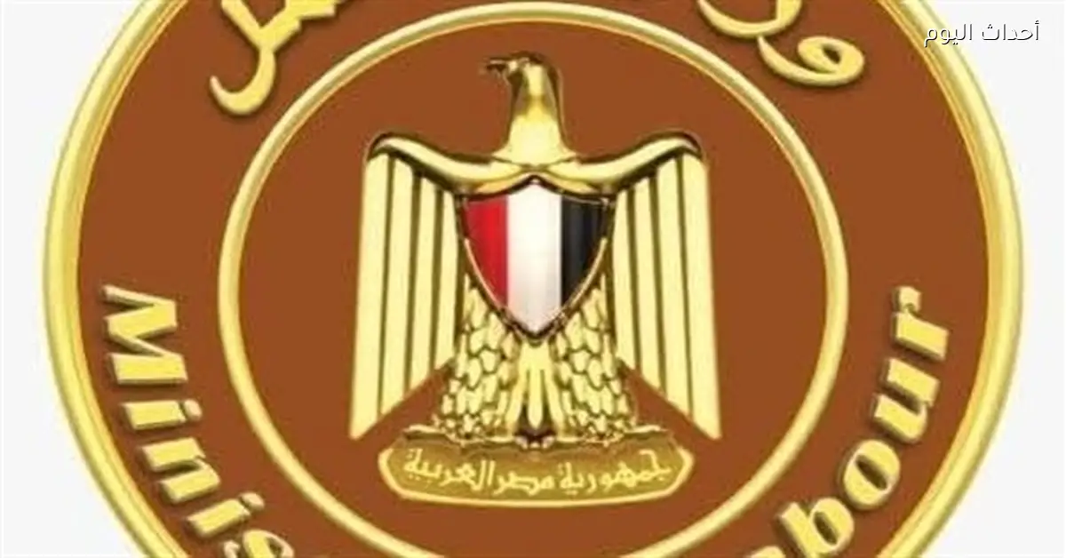 أنشطة وزارة العمل لدعم العمالة غير المنتظمة خلال أسبوع