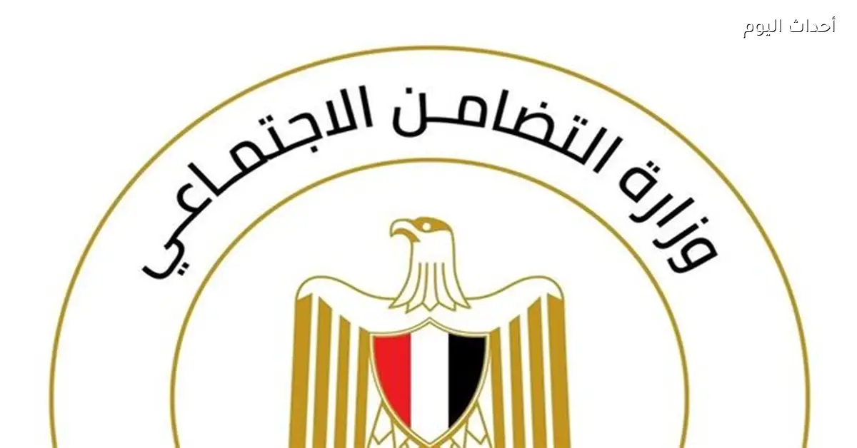 إنجازات وزارة التضامن الاجتماعي في تنمية الطفولة المبكرة بالأرقام