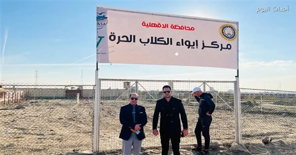 إيواء الكلاب الحرة في محافظة الدقهلية بجمصة