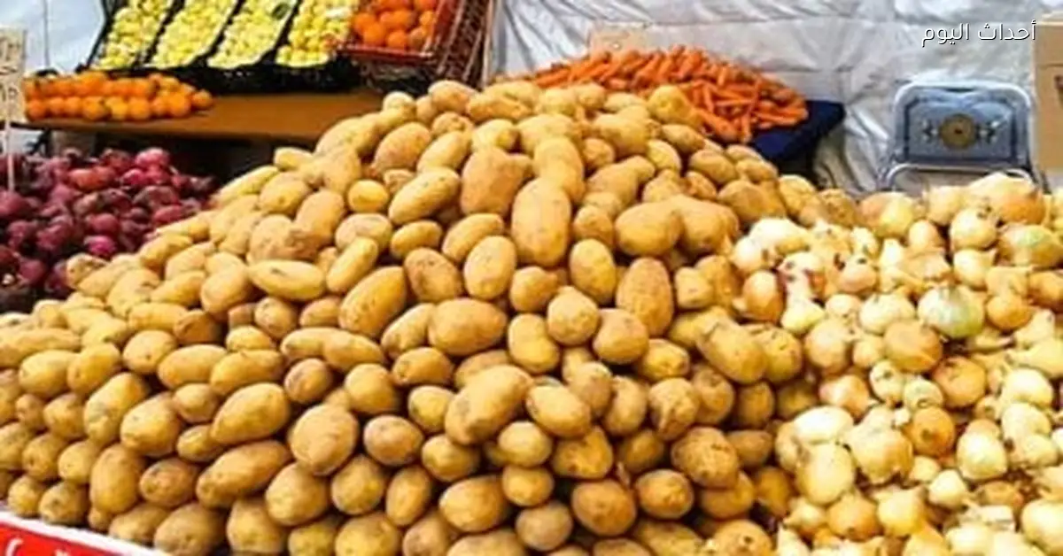 استقرار أسعار الخضراوات في الأسواق والمحلات بمدينة الأقصر