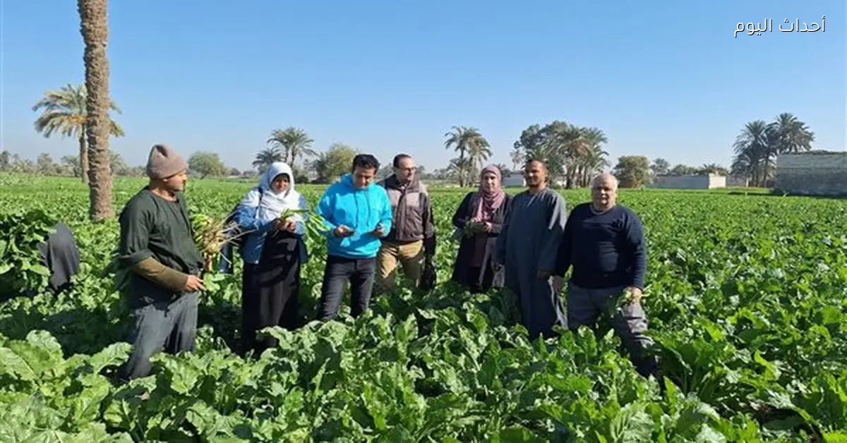 اعتماد 276 ألف كارت فلاح في بني سويف