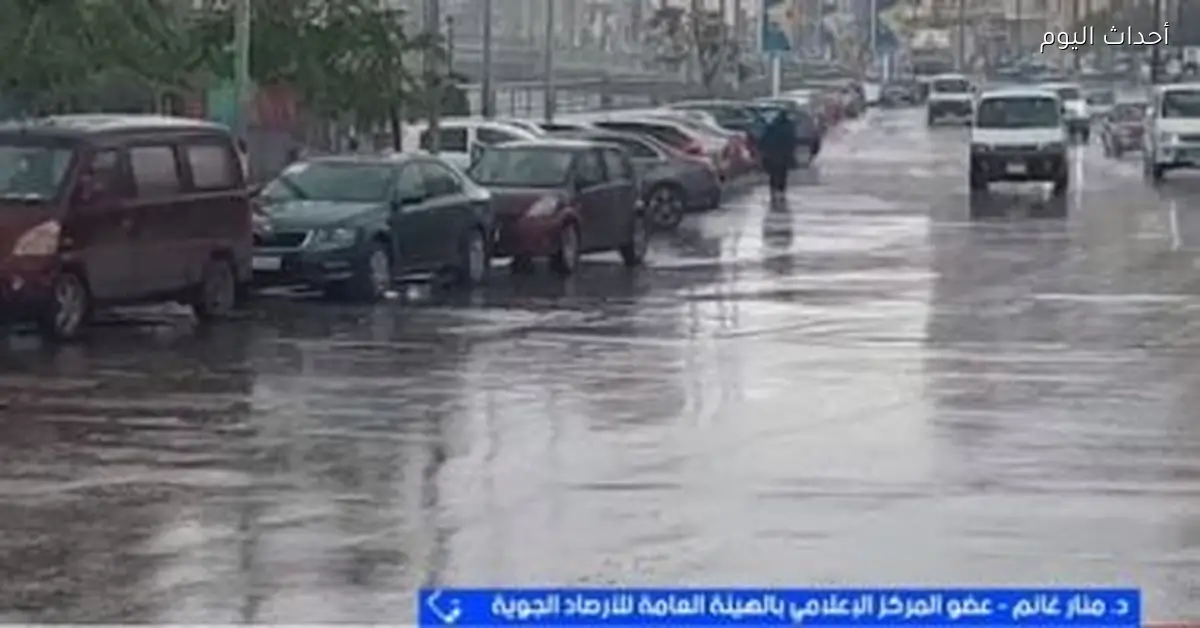 الأرصاد: استمرار الأمطار حتى الغد وتوقعات بشبورة كثيفة نهاية الأسبوع