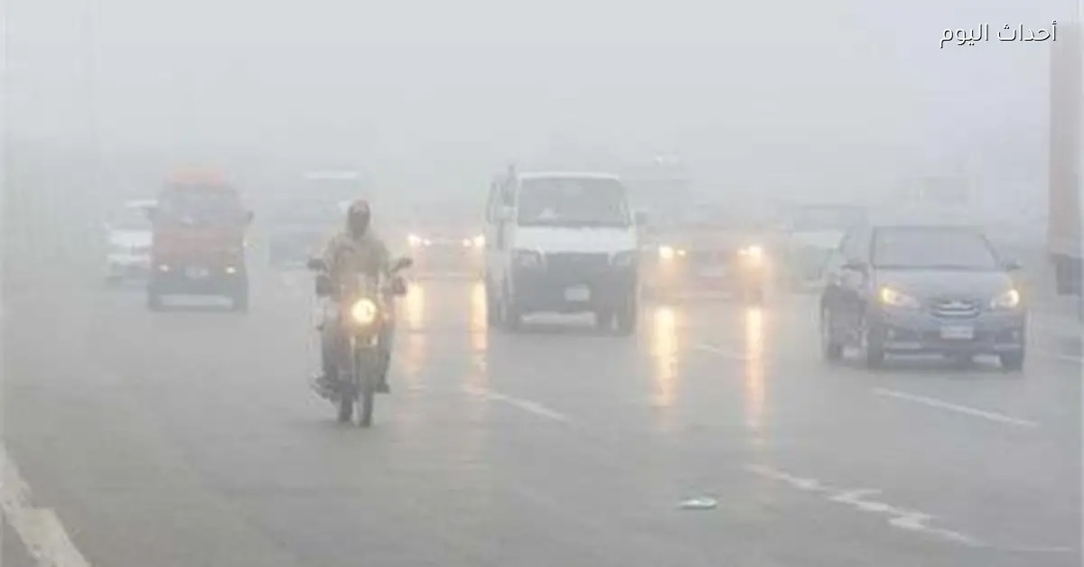 الأرصاد تحذر من شبورة وبرودة وأمطار خفيفة في السويس