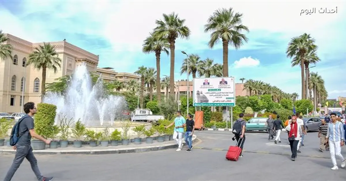 الأعلى للجامعات يعلن عن تطوير المدن الجامعية وتحويلها لغرف فندقية