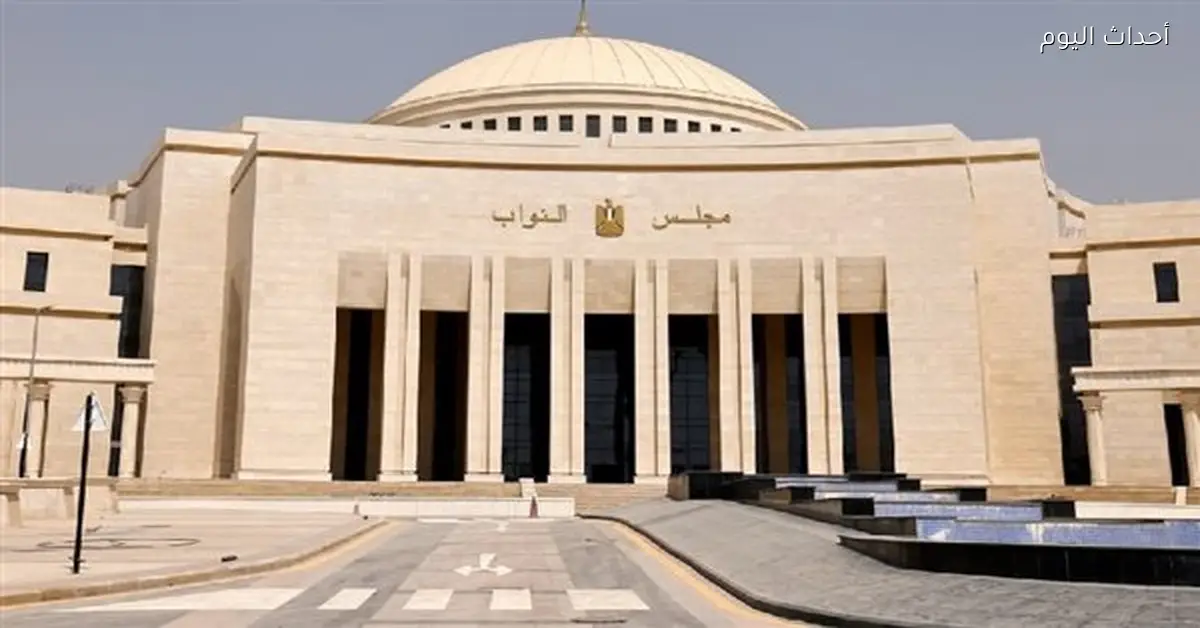 الانتخابات تقترب من النهاية مع جولتين لإعادة الدوائر الملغاة