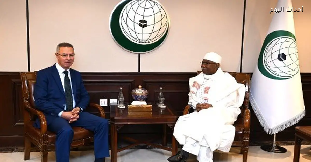 “التعاون الإسلامي تبحث دعم القضية الفلسطينية مع وفود عربية رفيعة”