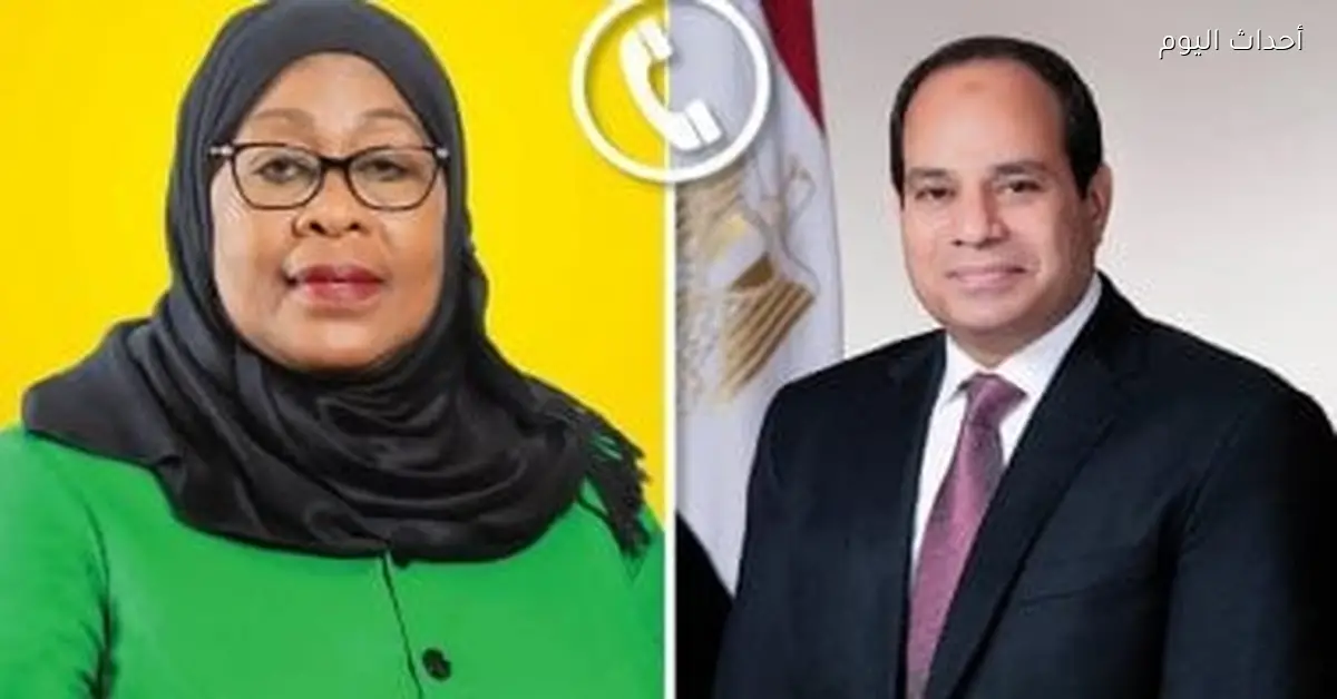 الرئيس السيسي يؤكد استعداد مصر لزيادة الاستثمارات في تنزانيا