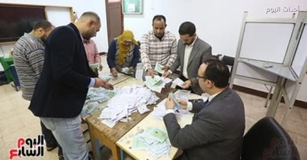 تامر القصبي يحصل على 87228 صوت في الحصر العددي لدائرة المنصورة بالدقهلية