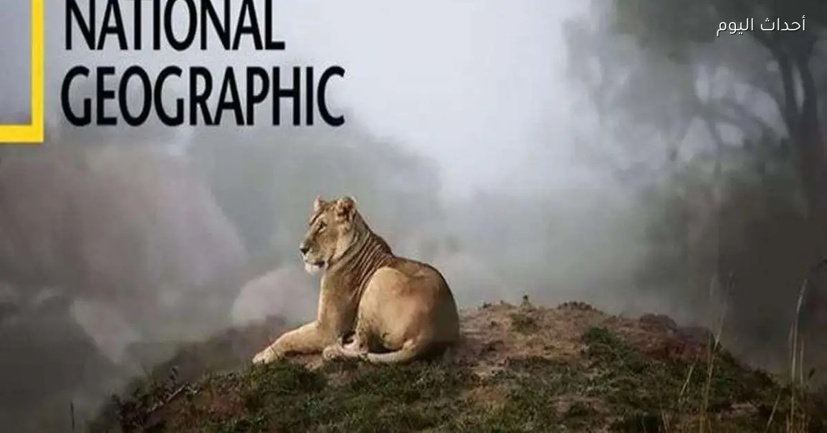 تردد قناة ناشيونال جيوغرافيك 2025 واستقبال البث الجديد بأفضل جودة