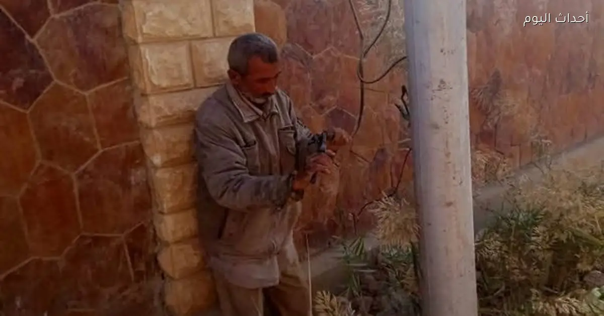 حي الأربعين بالسويس يستعد لعيد الميلاد برفع كفاءة الإنارة وتنظيف الشوارع