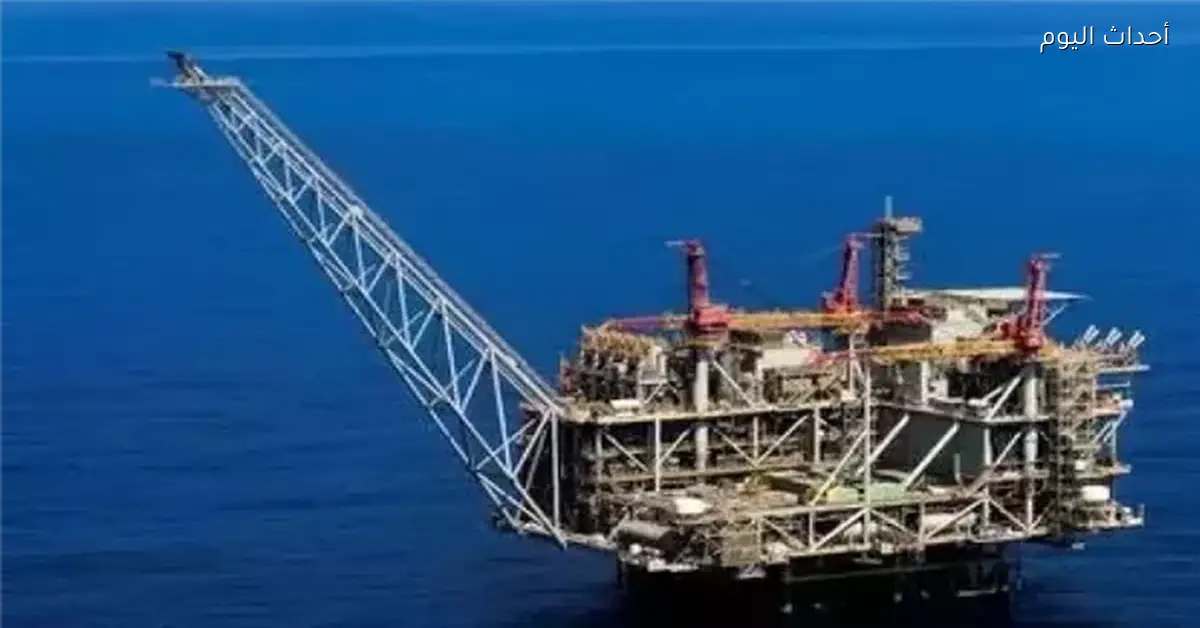 خبير اقتصادي: أوقع على صفقة الغاز مع إسرائيل بلا تردد