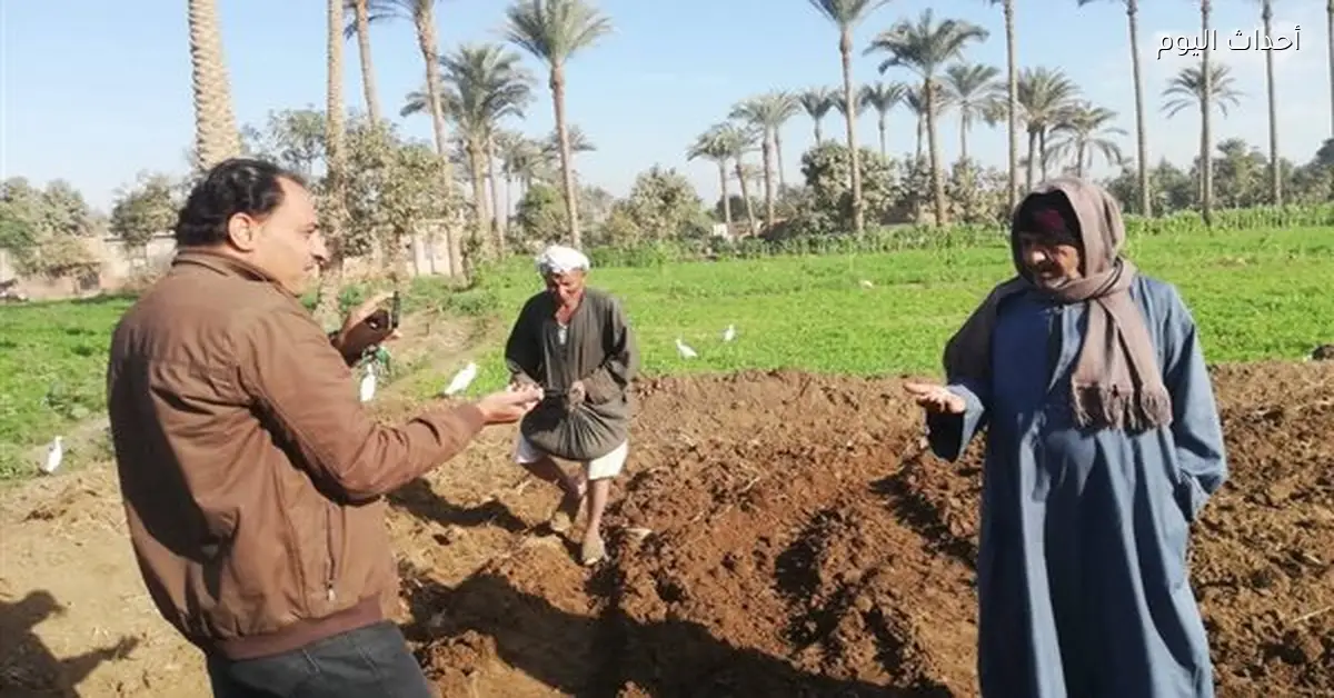 زراعة بنى سويف تنظم زيارات وندوات للمزارعين