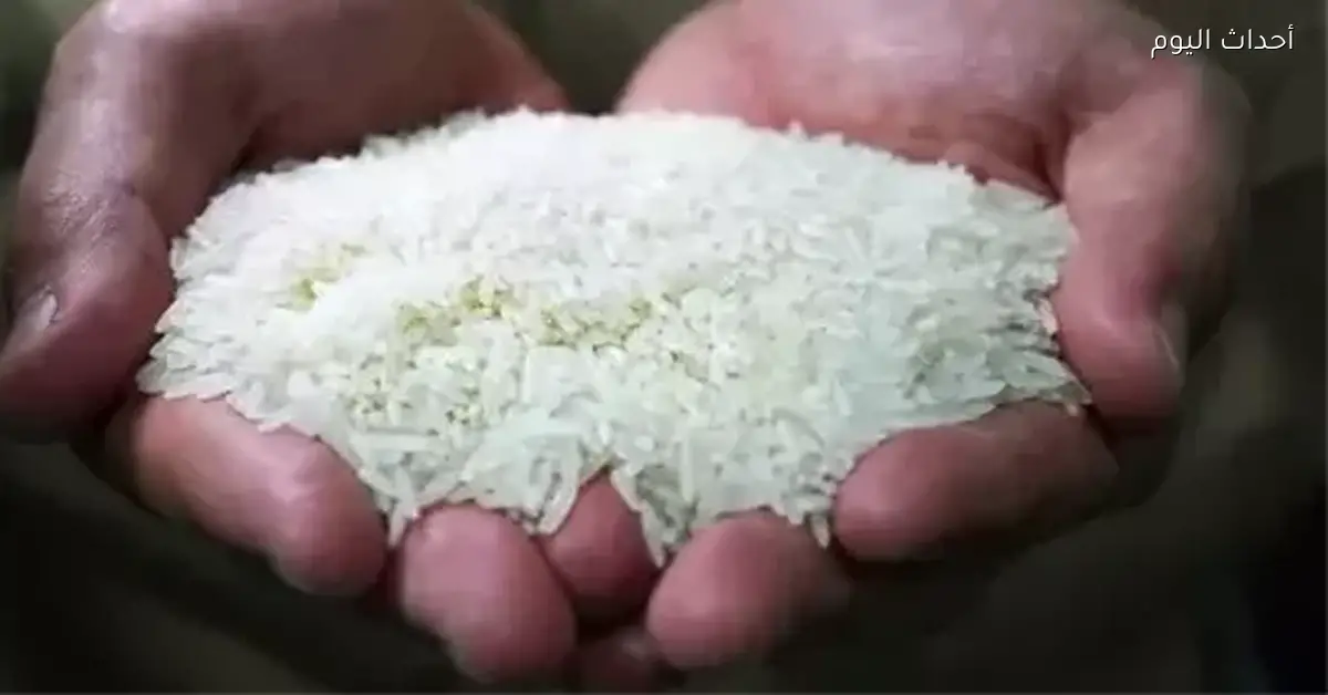 سعر الأرز الشعير في السوق المحلي اليوم الاثنين