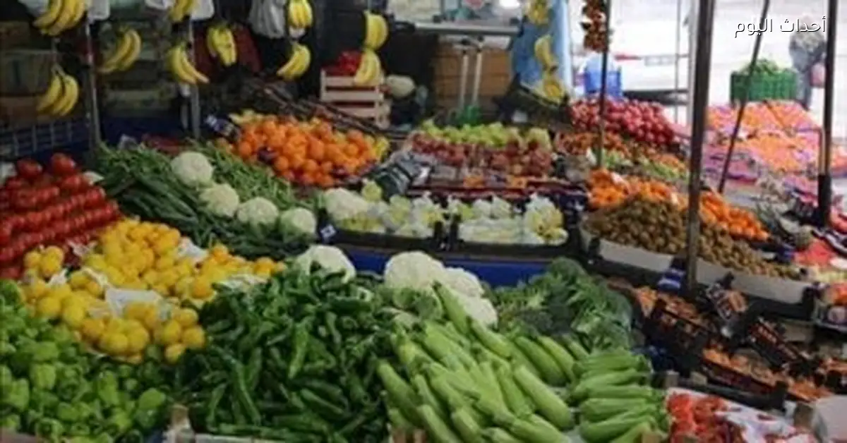 سعر الطماطم والخضار في القليوبية اليوم الأربعاء 24 ديسمبر 2025