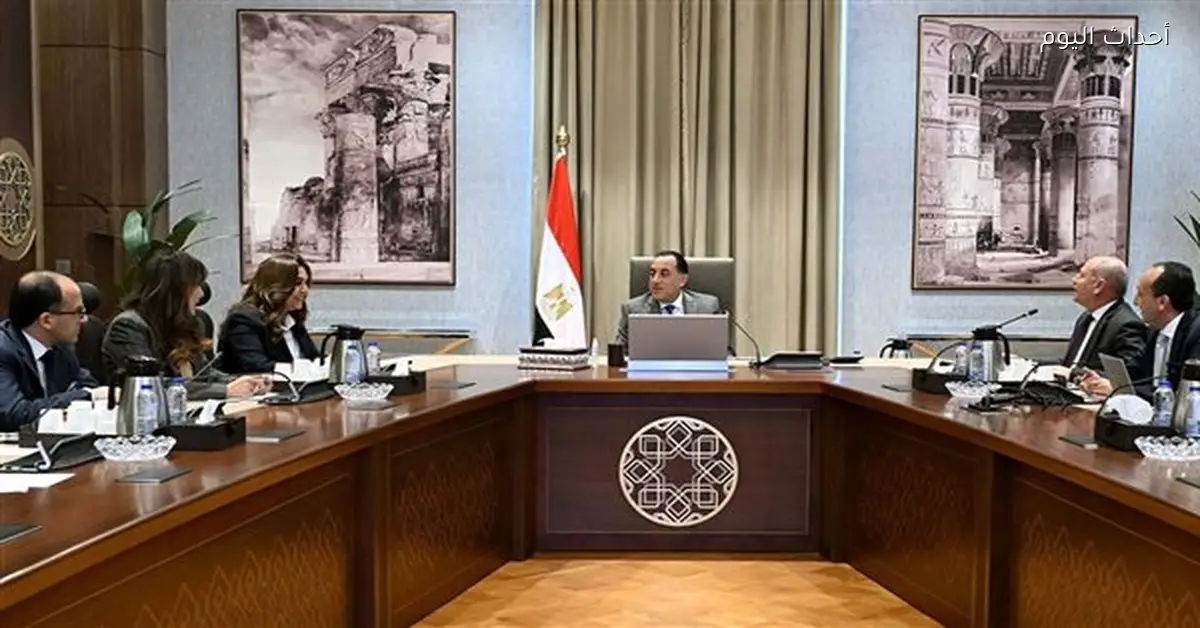 مدبولي يعرض أفكار تطوير منطقة القلعة والزبالين في القاهرة