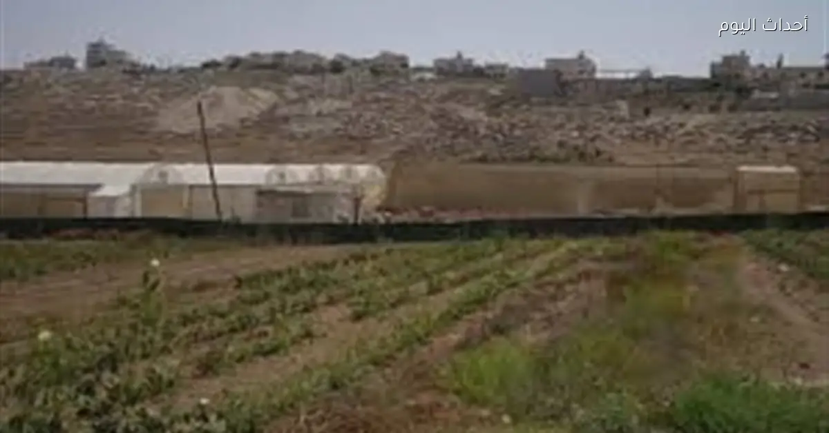 مستوطنون يحرقون أشجار الزيتون في قرية برقا برام الله