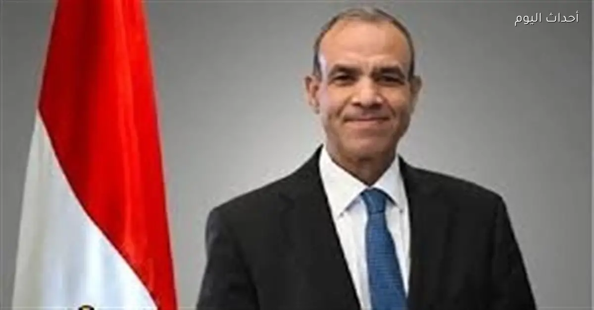 مصر تتابع التطورات في اليمن وتؤكد دعمها لوحدته وسيادته