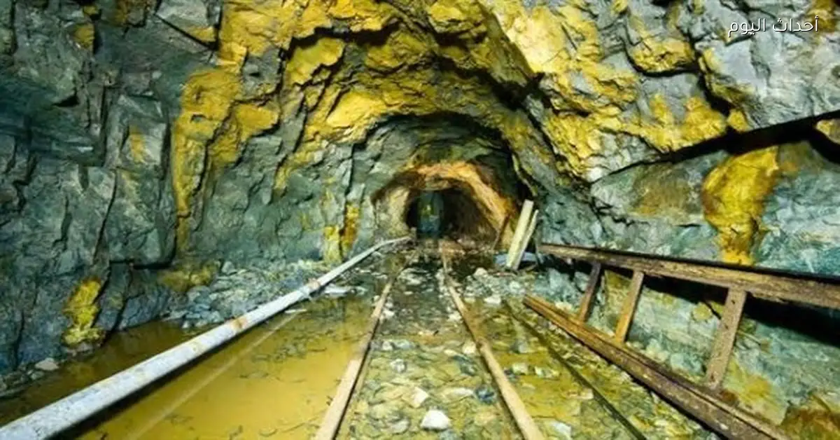 مصر تمتلك 50% من منجم السكري و97% من العمالة