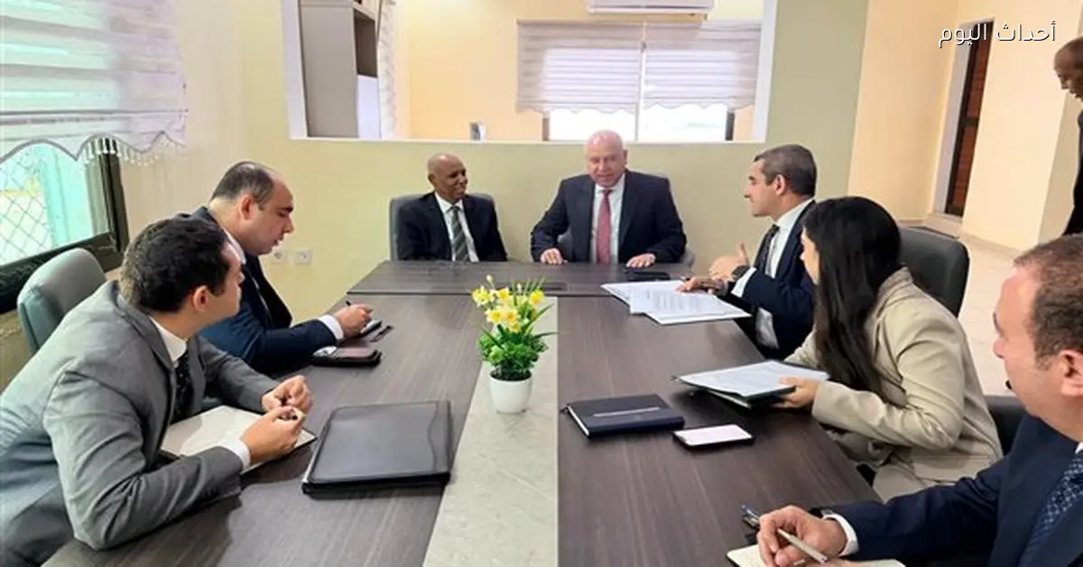 مصر وجيبوتي تعززان التعاون الاقتصادي في مجالات متعددة