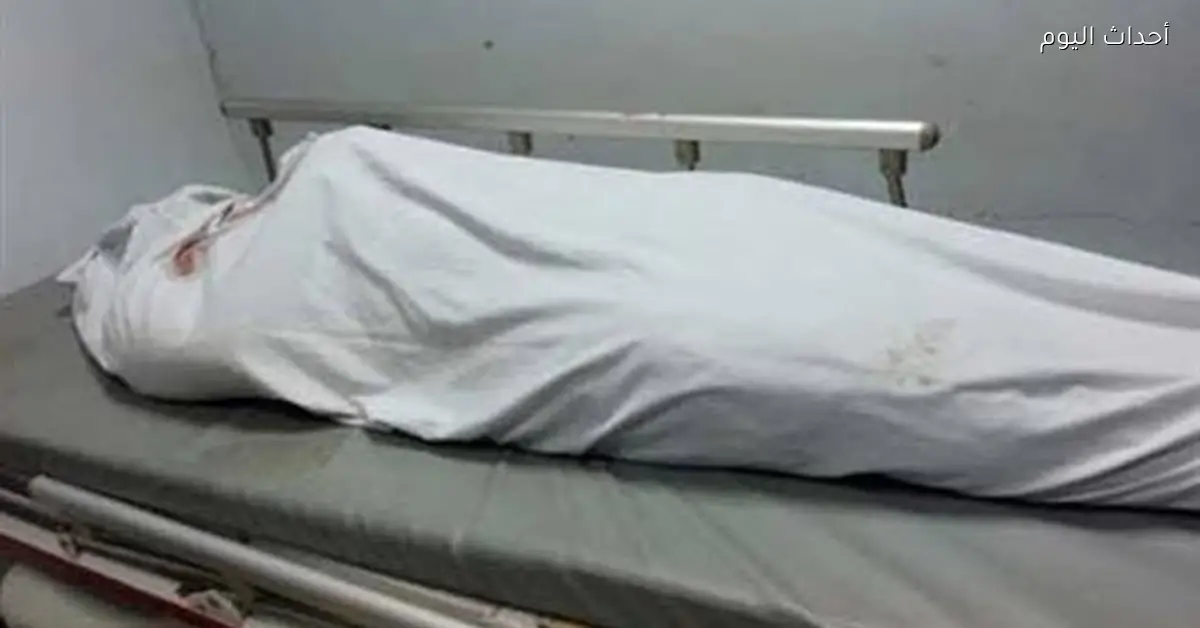 مصرع شخص في انقلاب سيارة نقل على محور 30 يونيو