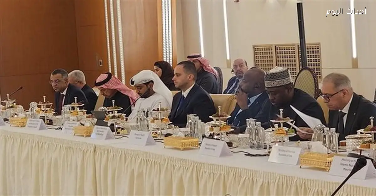 وزارة الصحة تناقش تعزيز الاستثمار في الصحة العالمية