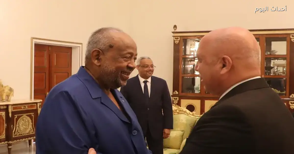 وزير الصناعة يعرض مشروعات البنية التحتية والنقل والمناطق الصناعية في جيبوتي