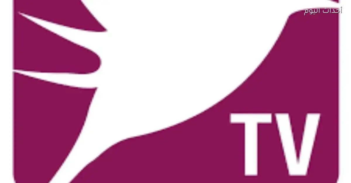 تردد قناة أفلام لبنانية للكبار على نايل سات وطريقة ضبطه