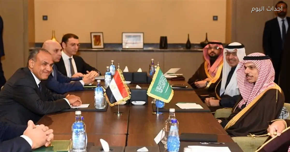مباحثات وزير الخارجية المصري مع نظيره السعودي ومرفقاتها