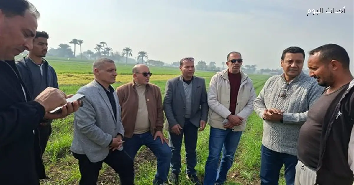 البحوث الزراعية تدعم مزارعي بني سويف في حقولهم
