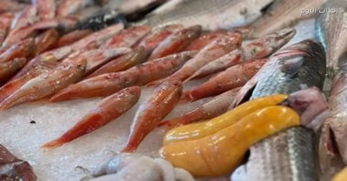 استقرار أسعار الأسماك في أسواق بورسعيد اليوم الأحد 11 يناير 2026