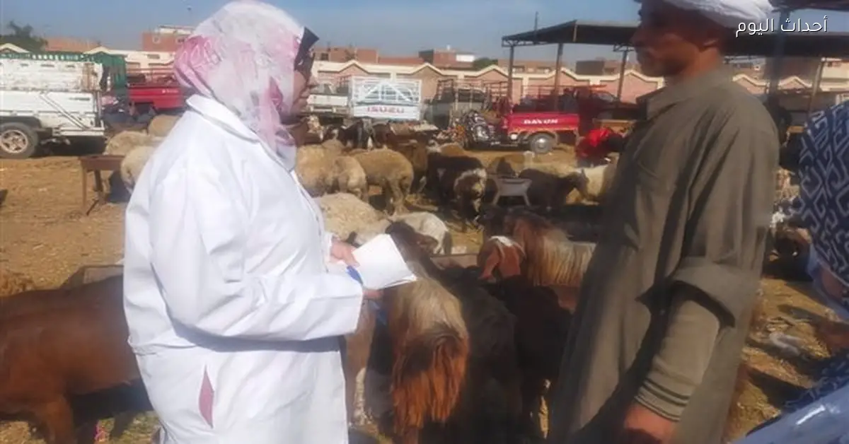 فرق بيطرية تزور 13 ألف منزل في 1300 قرية