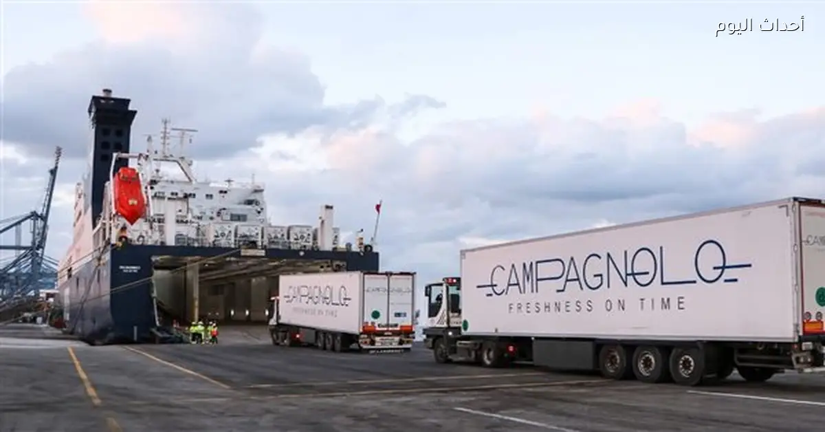 خط “الرورو” المصري-الإيطالي يتيح فرص عمل جديدة في أوروبا