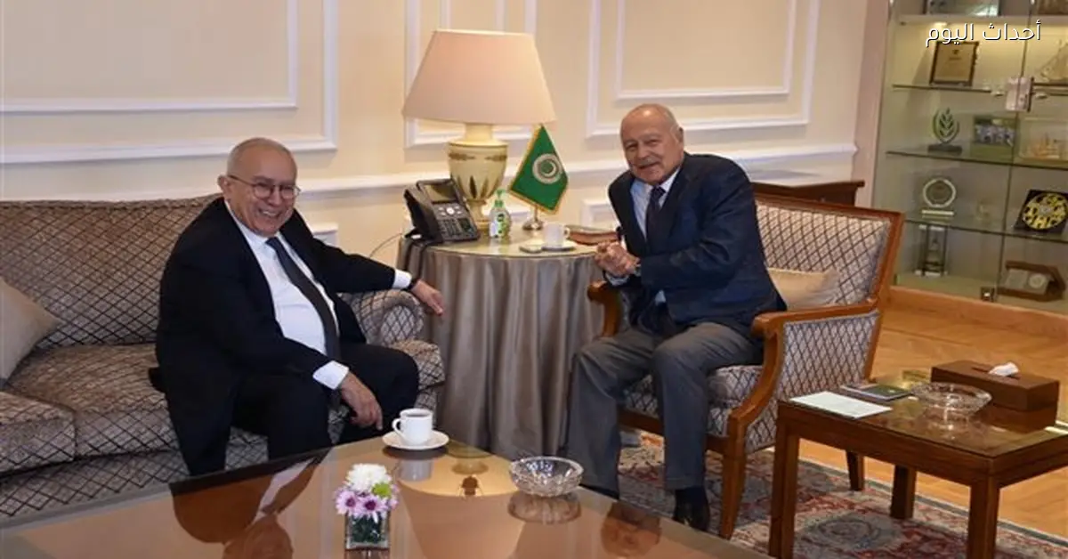 أبو الغيط يناقش مع المبعوث الأممي جهود السلام في السودان