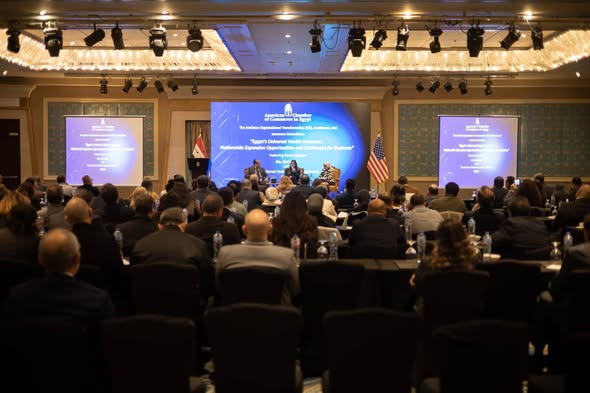 صورة توضيحية