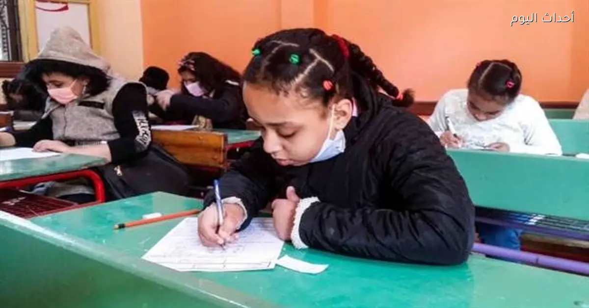 نتيجة الصف الرابع الابتدائي الترم الأول 2025-2026 بالاسم فقط