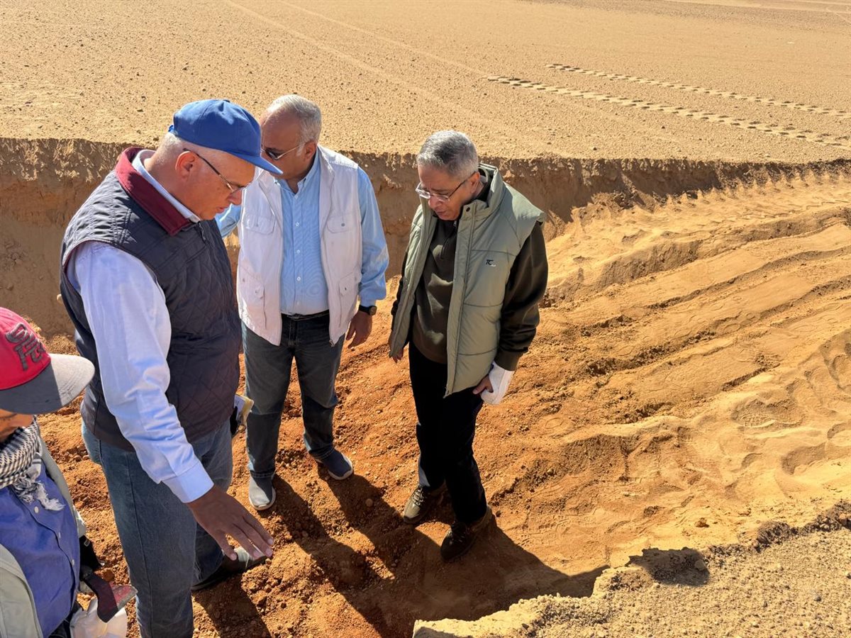 جانب المتابعة